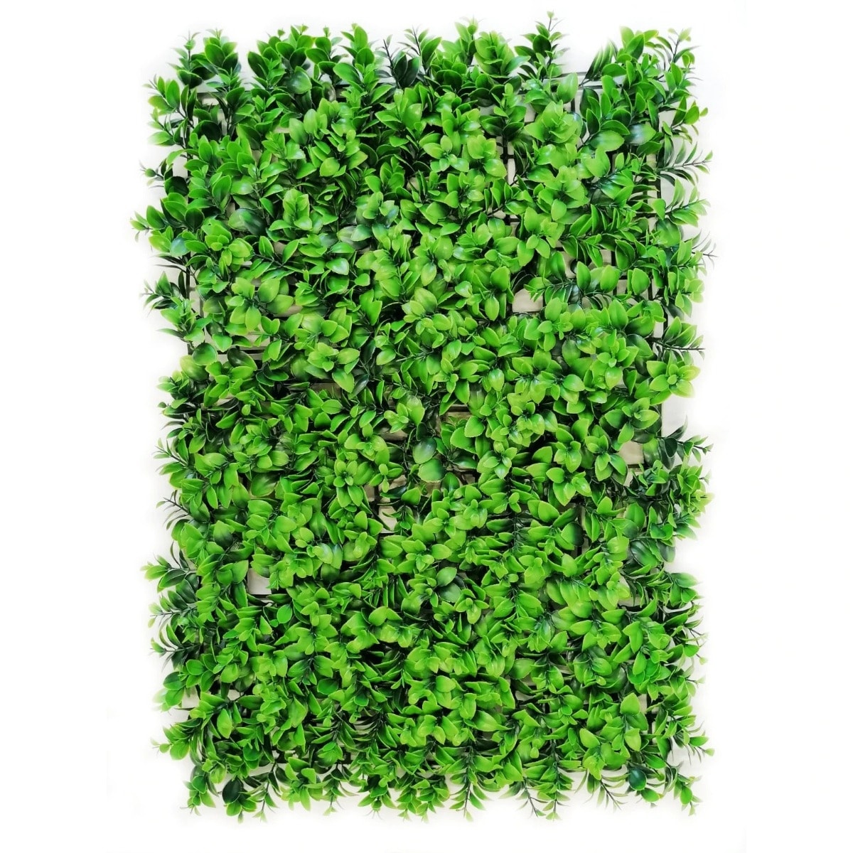 Perete artificial verde cu plante Basil 60x40 cm