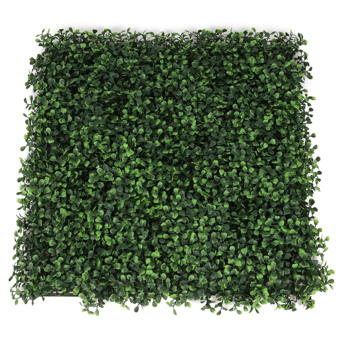 Perete artificial verde din plante artificiale 50x50 cm