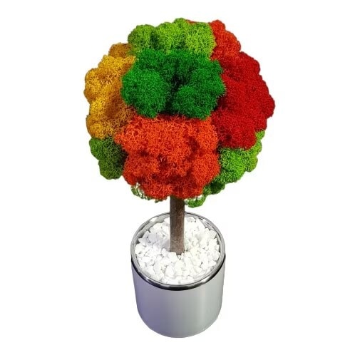 Mini Arbore cu Licheni Stabilizati in Vas de Ceramica - 4 Culori (24-26 cm)