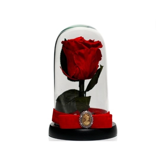 Trandafir Preservat in Cupola de Sticla 17 cm pe Baza Neagra