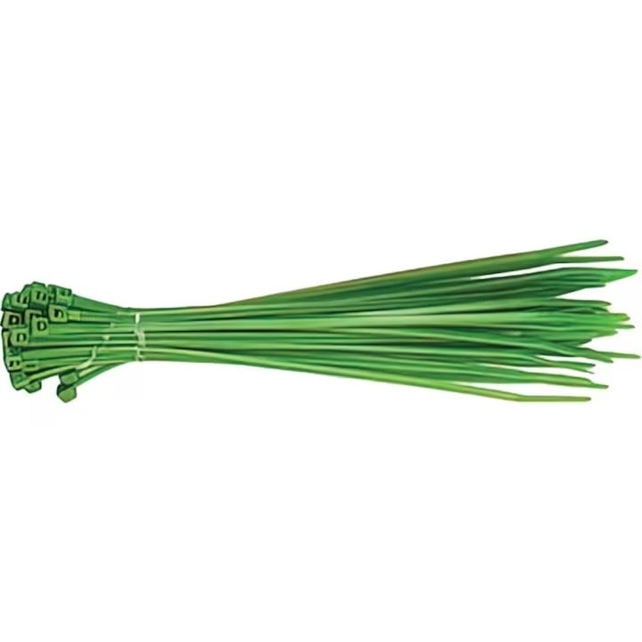 Set 100 Soricei - Bride de Plastic 200 mm x 4,5 mm, Verde