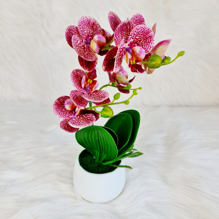 Aranjament Orhidee artificiala roz, alb in ghiveci ceramic alb - 800 mm