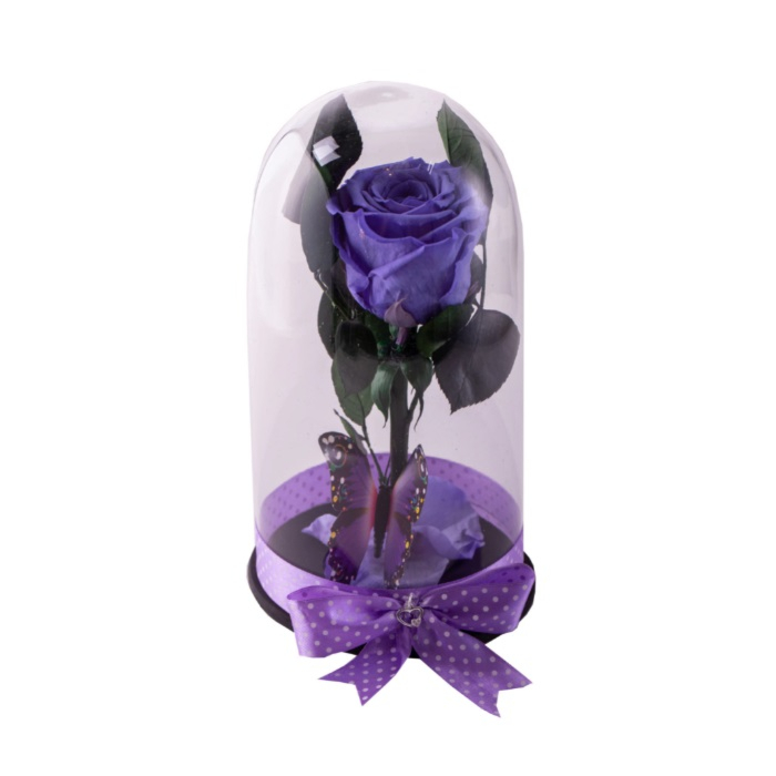 Trandafir criogenat violet in cupola de sticla 25 cm, petale la baza, fluture si pandantiv de argint 925 cadou