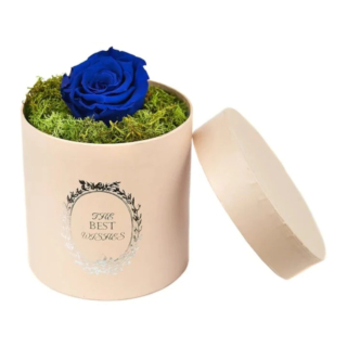 Trandafir etern decorativ in cutie cu licheni stabilizati