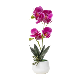 Orchid cu Aspect Natural in Ghiveci Ceramic Alb, Inaltime de 38 cm, Potrivita pentru Decorarea Spatiului Interior sau Exterior-1