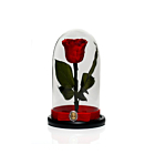 Trandafir criogenat in cupola de sticla 25 cm 