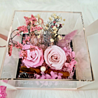 Trandafiri criogenati  in cutie cadou