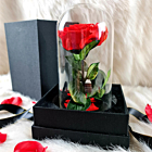 Trandafir rosu criogenat in cupola si cutie