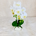 Aranjament Orhidee artificiala alba in ghiveci ceramic - 100 mm