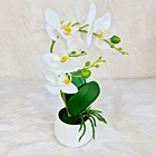Aranjament Orhidee artificiala alba in ghiveci ceramic alb- 800 mm