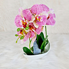 Aranjament Orhidee artificiala roz in ghiveci ceramic alb - 230 mm