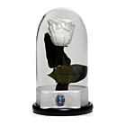 Trandafir criogenat in cupola de sticla 25 cm pe blat negru si brosa Camee