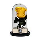 Trandafir criogenat galben in cupola de sticla 17 cm pe blat negru si brosa Camee