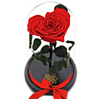 Cupola cu Trandafir Criogenat in forma de Inima