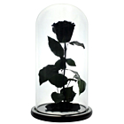 Trandafir Criogenat XL Negru in Cupola Sticla