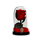 Trandafir criogenat in cupola de sticla 17 cm pe blat negru
