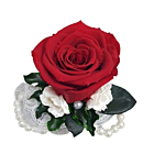 Bratara Perle Domnisoara de Onoare, Trandafir Criogenat si Plante Stabilizate, 7 cm